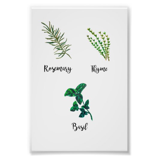 Herb Garden Painting Foto Afdruk (Voorkant)