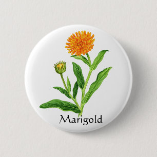Herb Garden Series - Marigold Ronde Button 5,7 Cm