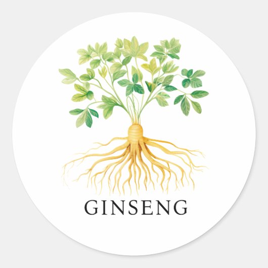 Herb Ginseng Waterverf Ronde Sticker (Voorkant)