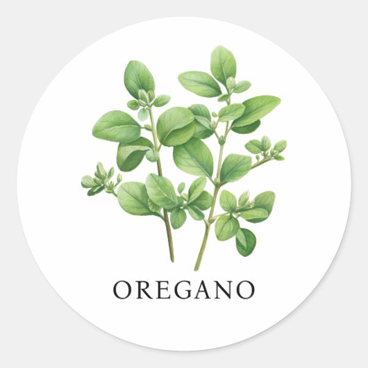 Herb Oregano Waterverf Ronde Sticker (Voorkant)