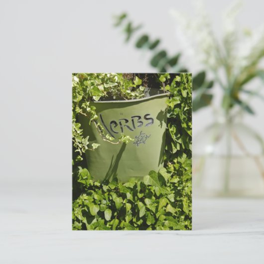 Herb Pot & Ivy Briefkaart (Staand voorkant)