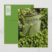 Herb Pot & Ivy Briefkaart (Voorkant / Achterkant)