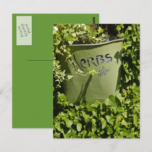 Herb Pot & Ivy Briefkaart (Voorkant / Achterkant)