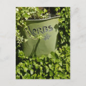 Herb Pot & Ivy Briefkaart (Voorkant)