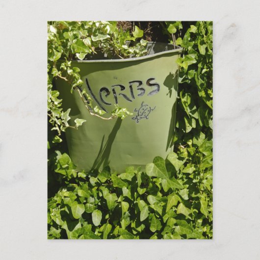 Herb Pot & Ivy Briefkaart (Voorkant)