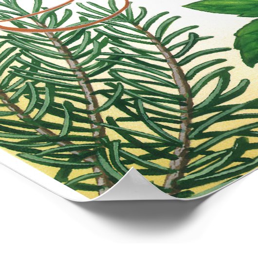 Herb Primer poster afdrukken (Hoek)