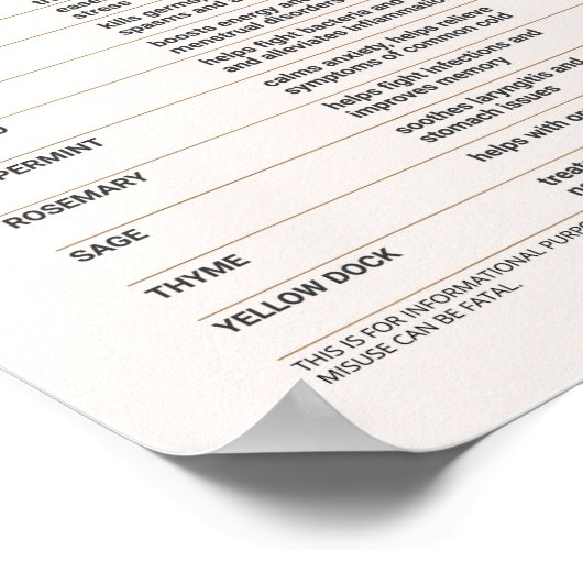 Herb Therapeutische en mystieke tabel Poster (Hoek)