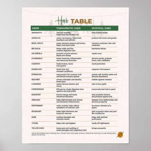 Herb Therapeutische en mystieke tabel Poster (Voorkant)