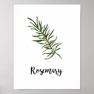 Herb Waterverf Tekening Word Art Poster