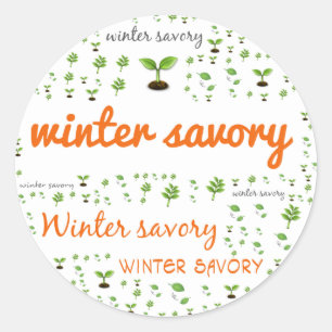 HERB WORD LABEL - WINTER SAVORY