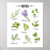 Herbafdruk Herbs kunst Keukenkunst Keukendecor Poster (Voorkant)