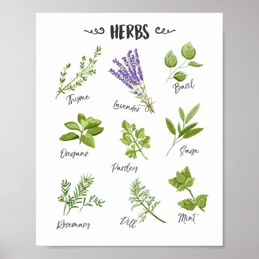 Herbafdruk Herbs kunst Keukenkunst Keukendecor Poster (Voorkant)