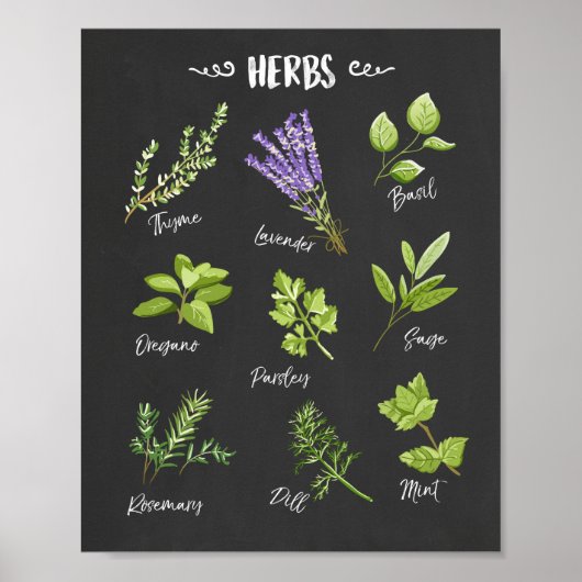 Herbafdruk Herbs kunst Keukenkunst Keukendecor Poster (Voorkant)