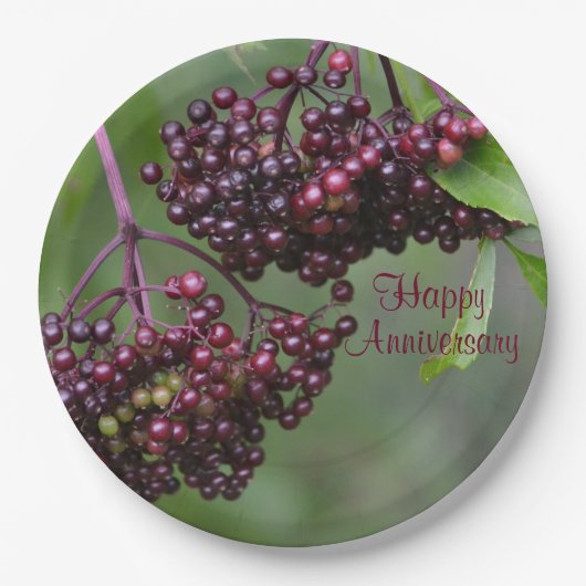 Herbalist Elderberry Jubileum Paper Bord (Voorkant)