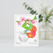 Herbalist Peaches Materia Medica Botanische Kaart (Staand voorkant)