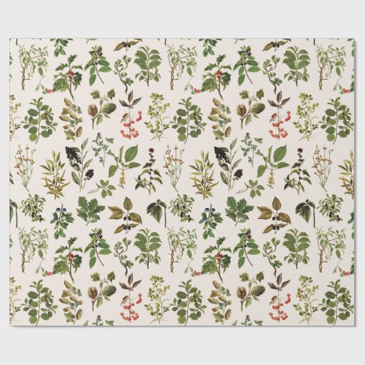 herbarium groen Plant Cadeaupapier (Vlak)