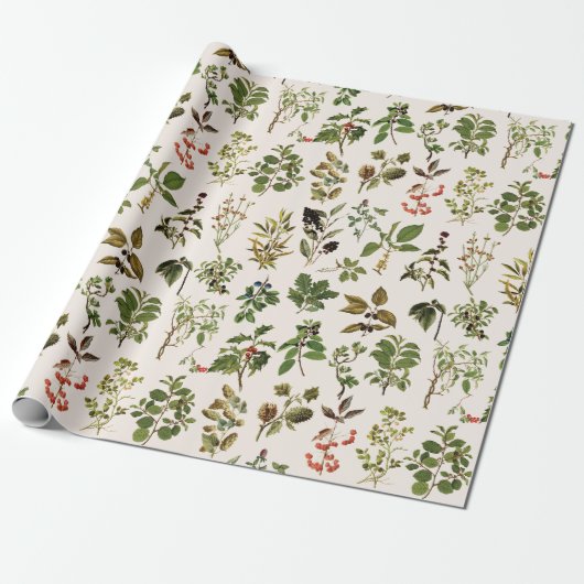  herbarium groen Plant Cadeaupapier (Uitgerold)