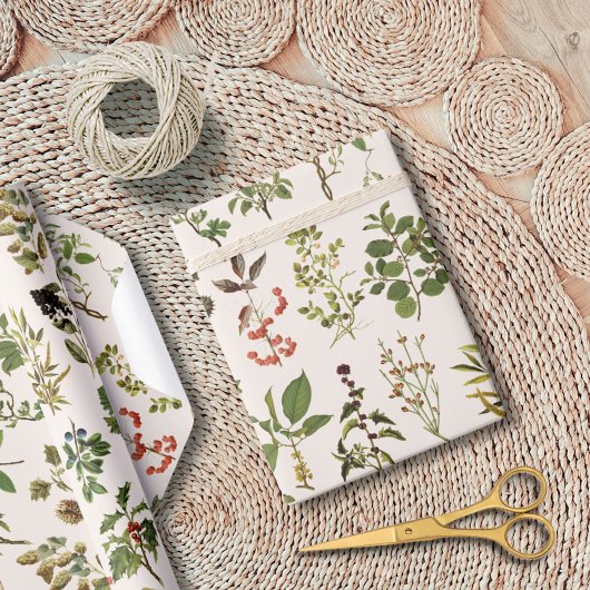  herbarium groen Plant Cadeaupapier