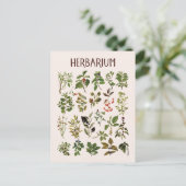  herbarium groen Plant grafiek Briefkaart (Staand voorkant)