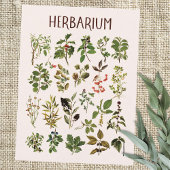  herbarium groen Plant grafiek Briefkaart