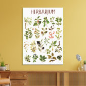  herbarium groen Plant grafiek Canvas Afdruk (Insitu (Woonkamer))