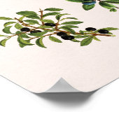 Herbarium Groen Plant Grafiek Muurkunst Poster (Hoek)