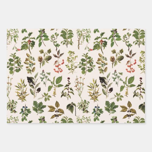 herbarium groen Plant Inpakpapier Vel (Voorkant 3)