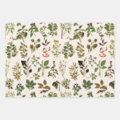 herbarium groen Plant Inpakpapier Vel (Voorkant 2)