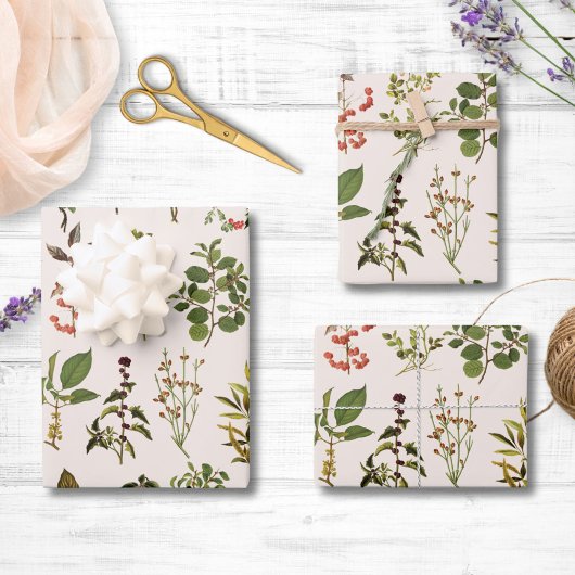 herbarium groen Plant Inpakpapier Vel