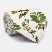 herbarium groen Plant Stropdas (Opgerold)