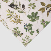 herbarium groen Plant Tissuepapier (Detail)