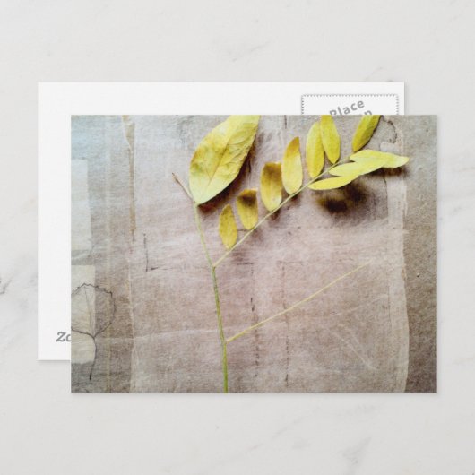 Herbarium V Briefkaart (Voorkant / Achterkant)