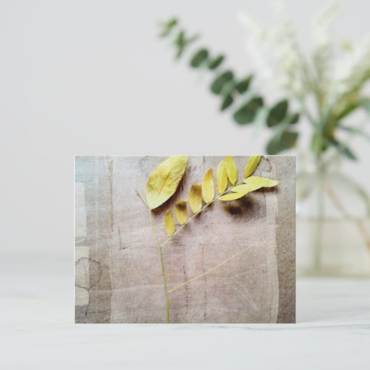 Herbarium V Briefkaart (Staand voorkant)