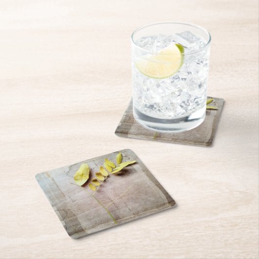 Herbarium V Kartonnen Onderzetters (Insitu)