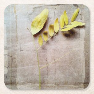 Herbarium V Kartonnen Onderzetters