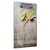 Herbarium V Klembord (Rechts)