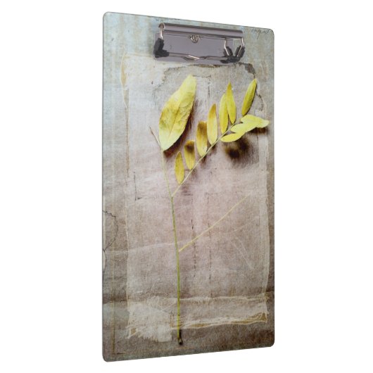 Herbarium V Klembord (Rechts)