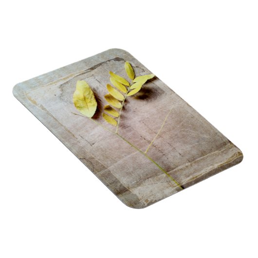 Herbarium V Magneet (Rechterzijde)