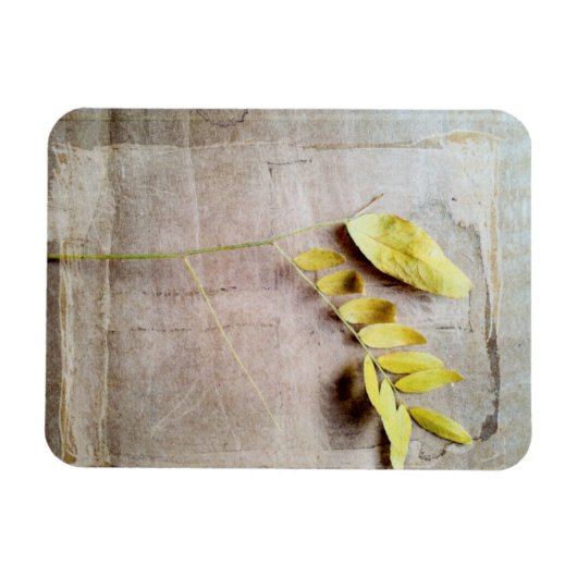 Herbarium V Magneet (Horizontaal)