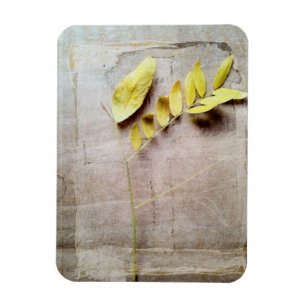 Herbarium V Magneet