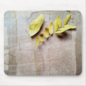 Herbarium V Muismat (Voorkant)