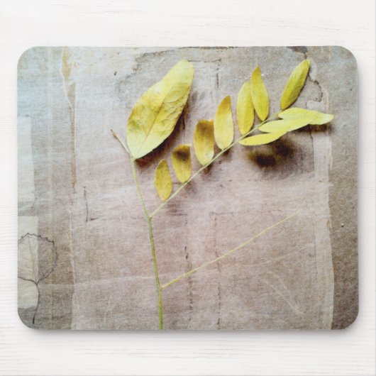 Herbarium V Muismat (Voorkant)