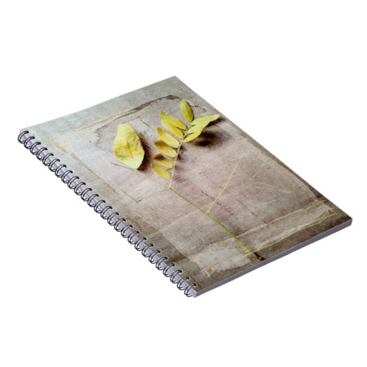 Herbarium V Notitieboek (Rechterzijde)