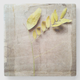 Herbarium V Stenen Onderzetter