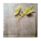 Herbarium V Tegeltje (Voorkant)