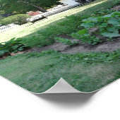 Herbert Hoover Birthplace Cottage, Iowa Poster (Hoek)