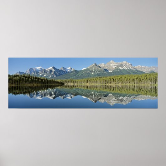 Herbert Lake, Banff National Park, Canada Poster (Voorkant)