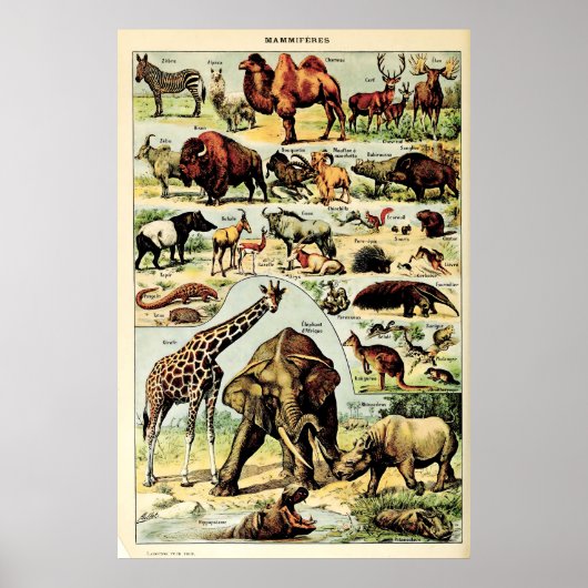 Herbouwde Adolphe Millot Natuur Wezens Zoogdieren Poster (Voorkant)