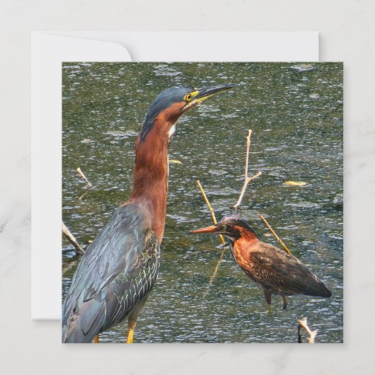 Herbruikbare Boodschappentas Groen Reiger Save The Date (Voorkant)