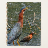 Herbruikbare Boodschappentas Groene Reiger Planner (Voorkant)